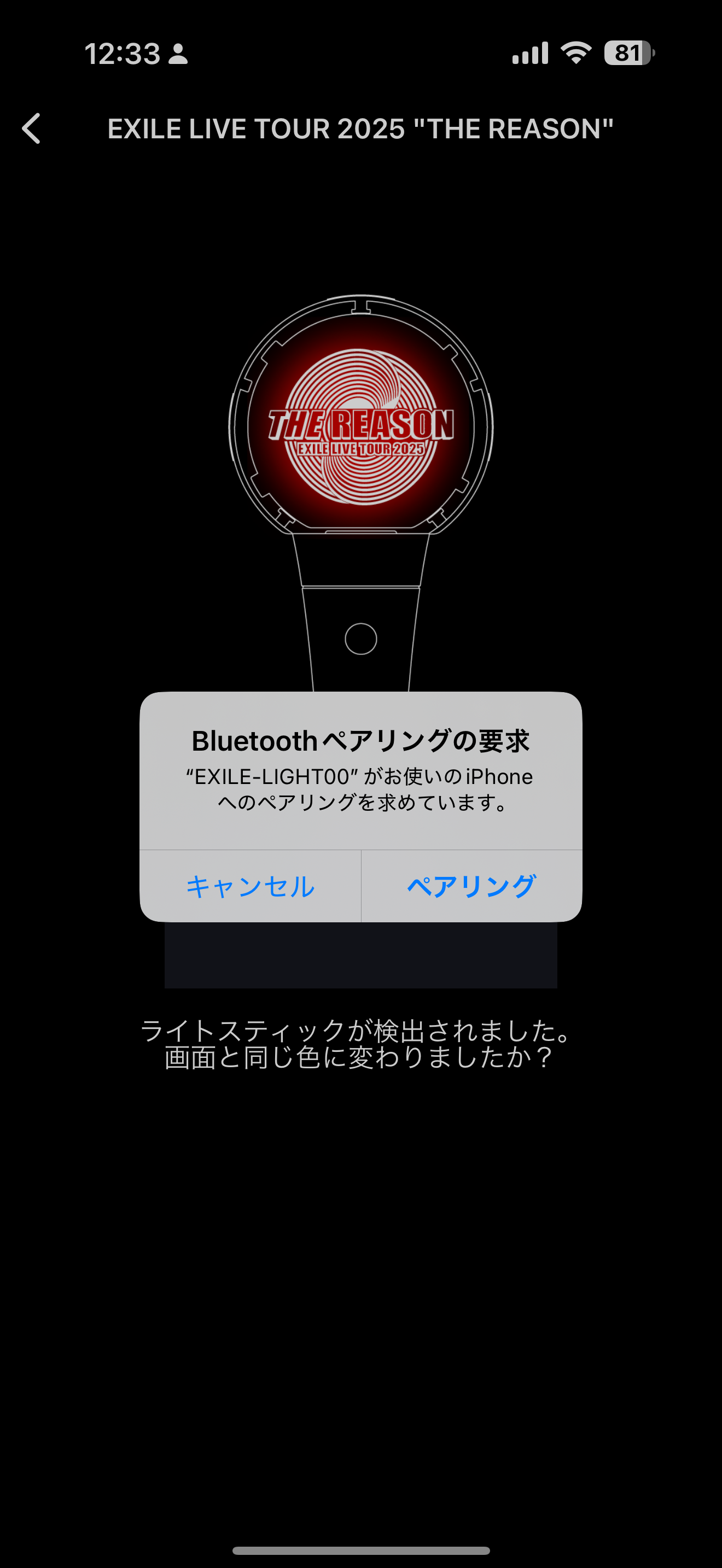 EXILE THE REASON Official Light Stick